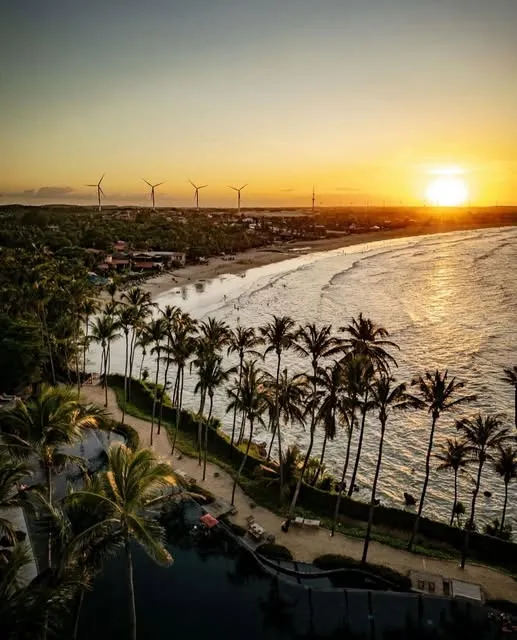 Praia da Taíba ao pôr do sol, com coqueiros e os cataventos ao fundo